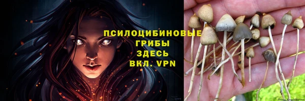 бутират Алзамай