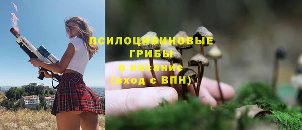 гидропоника Абаза