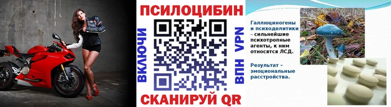 Псилоцибиновые грибы Psilocybe  Новочеркасск 